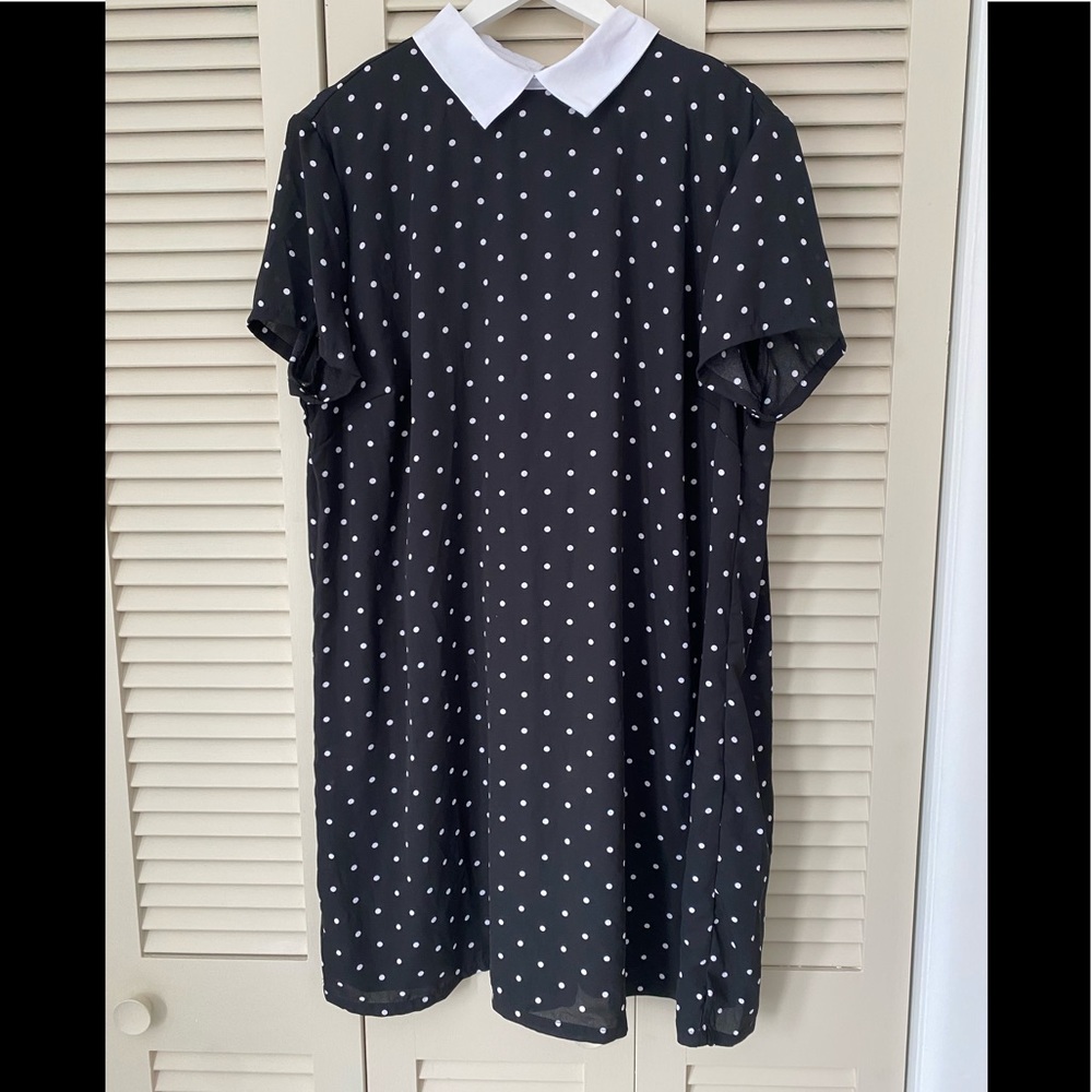 Collared dress.